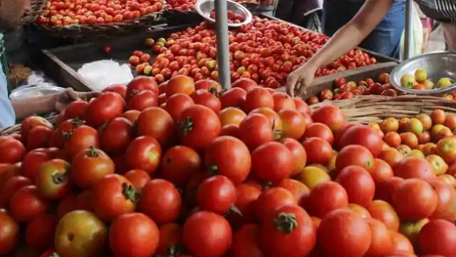 tomato_prices