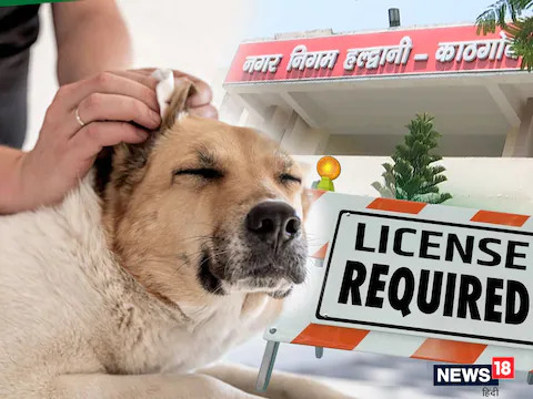 dog_license_required