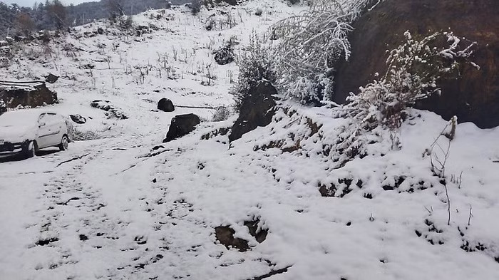 auli-snowfall