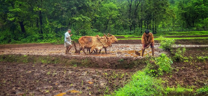 Uttarakhand farmer news