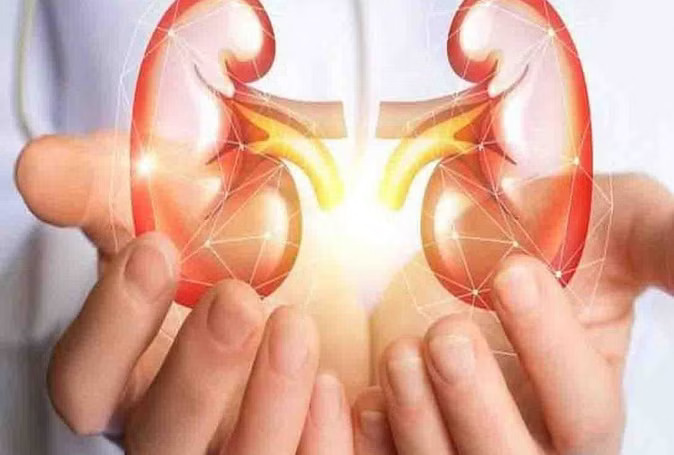 kidney_transplant_in_AIIMS