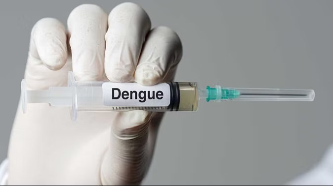 dengue-in-uttarakhand