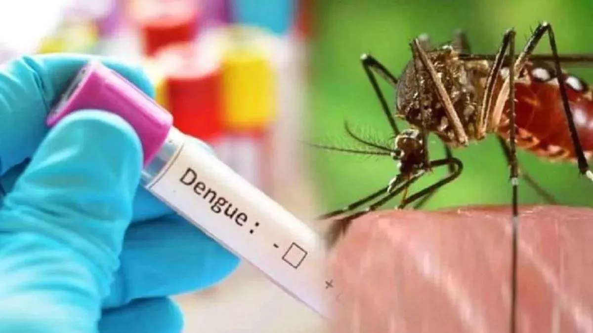 dengue_in_uttarakhand