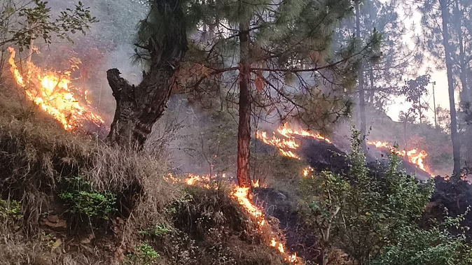 uttarakhand-forest-burning