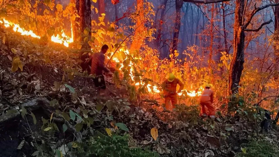 almora_forest_fire