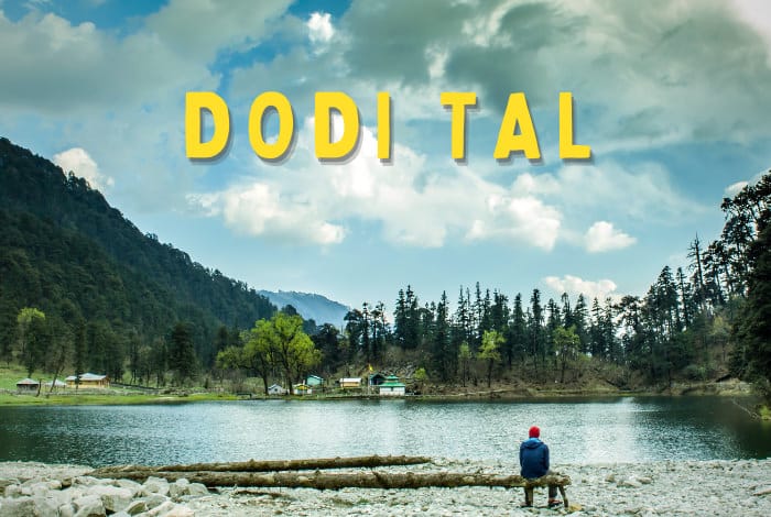 dodital